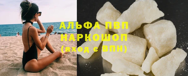 сатива Елабуга