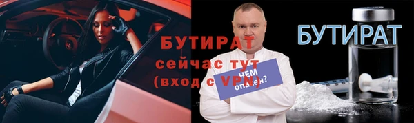 сатива Елабуга