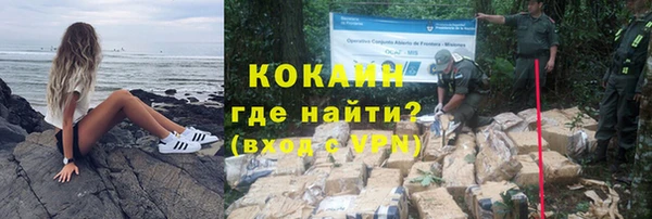 сатива Елабуга