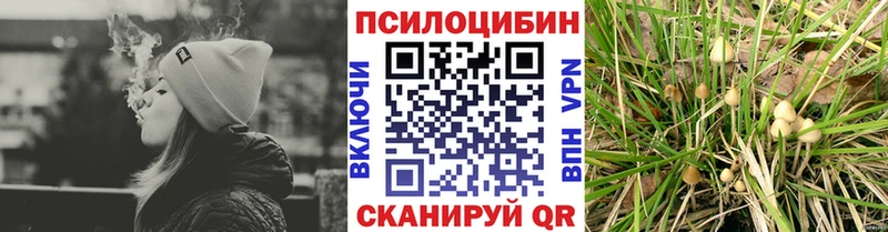 Галлюциногенные грибы прущие грибы Купить закладки Североморск